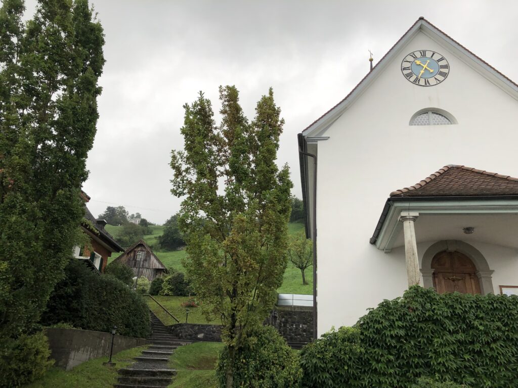 Abbau der Marien-Linde 2019 | © Beat Enz