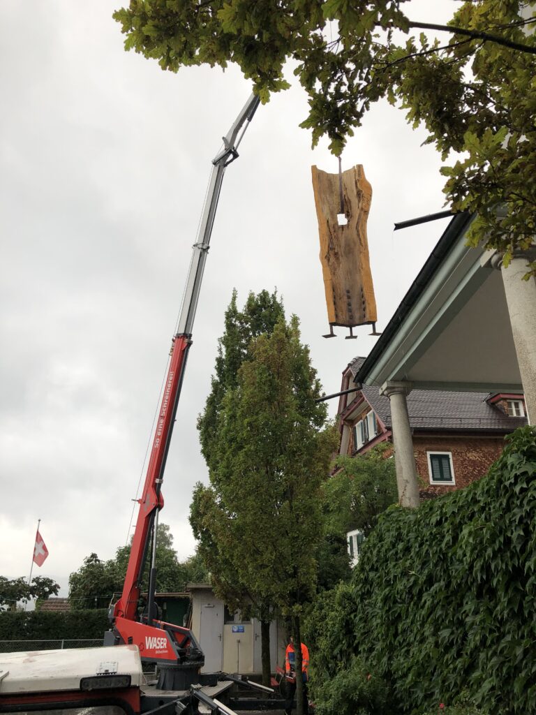 Abbau der Marien-Linde 2019 | © Beat Enz